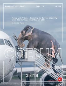 coelum_nov_ 2024